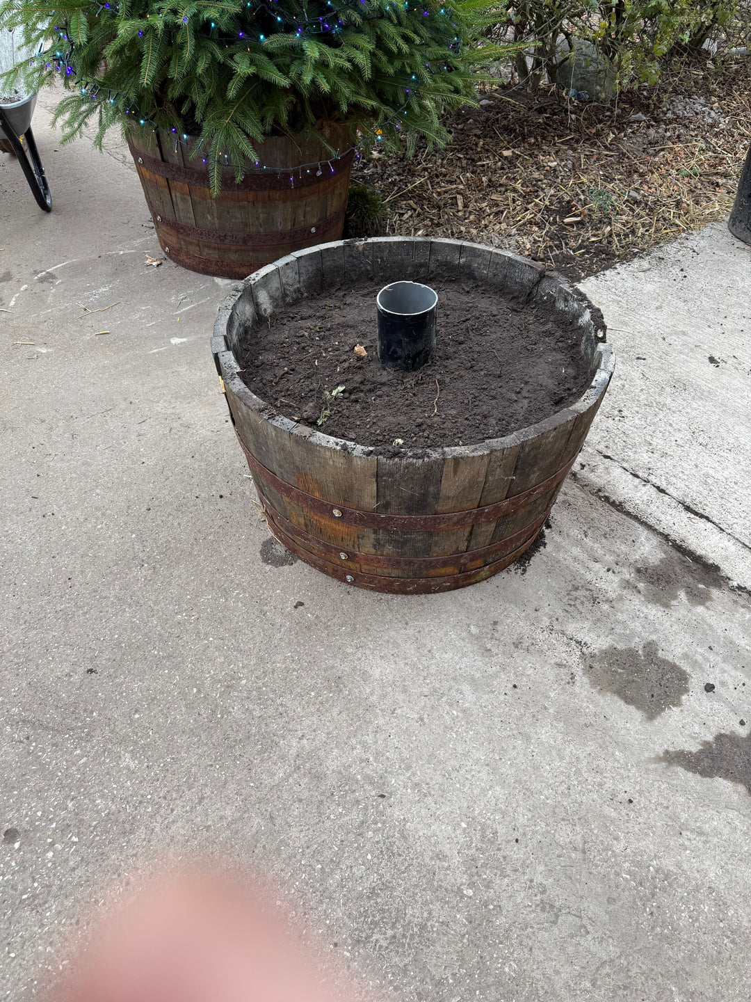 Whiskey barrel stand, a semi permanent solution to display trees