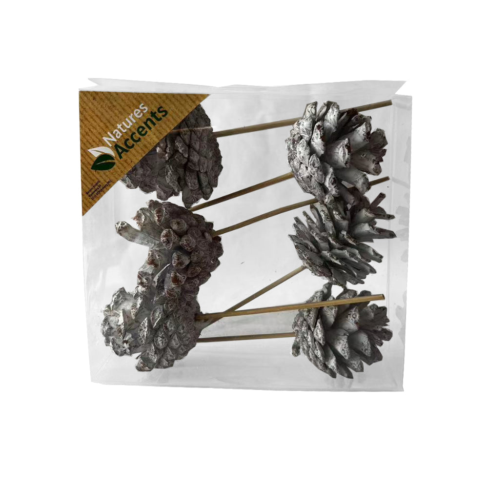 Picks - Pine Cones on Sticks in Box