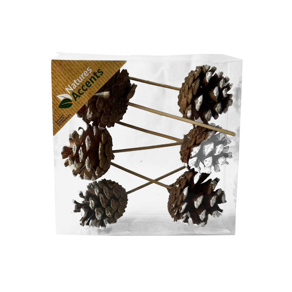 Picks - Frosted Cones on Sticks