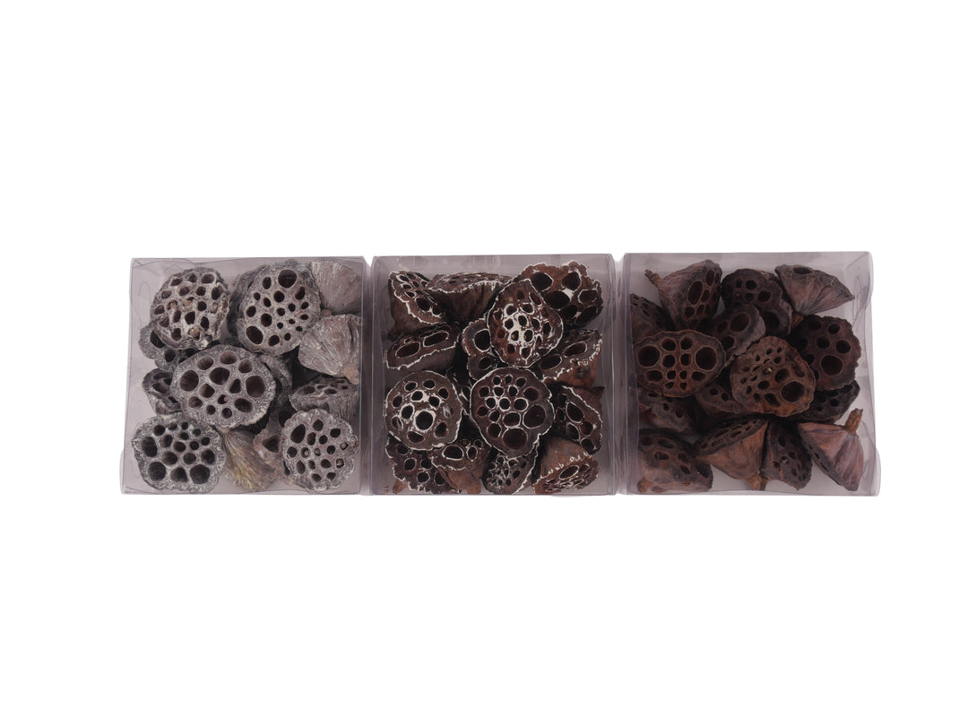 Picks - Lotus Seeds on Wire