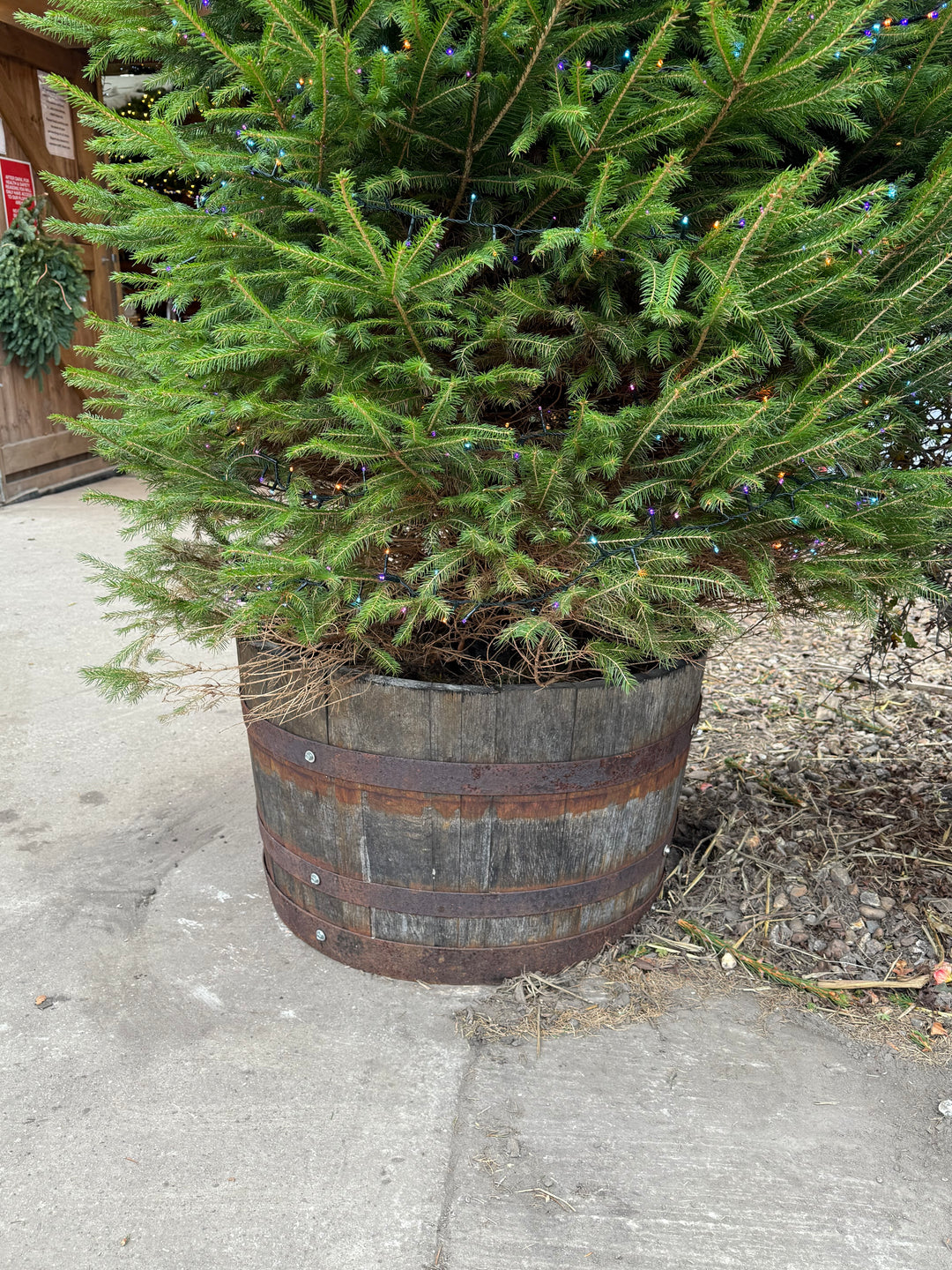 Whiskey barrel stand, a semi permanent solution to display trees